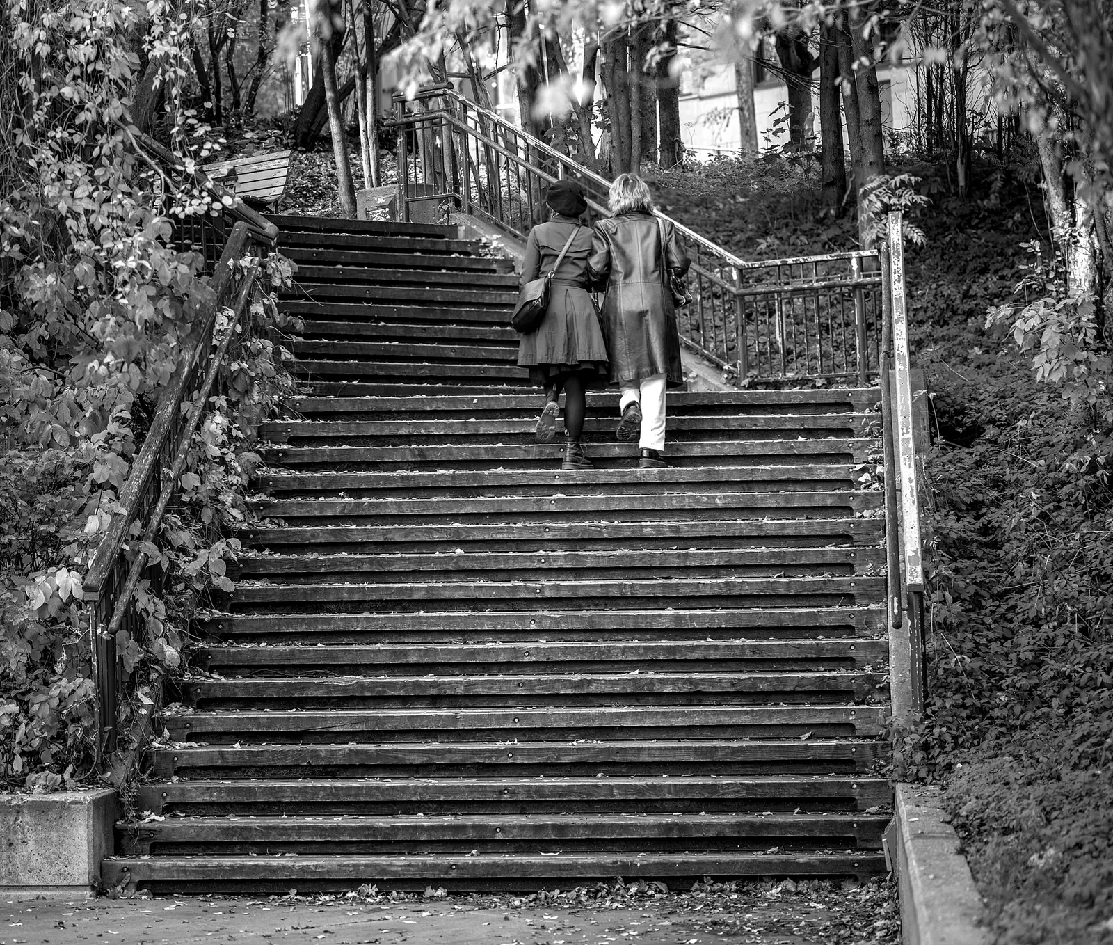 Duas pessoas sobem juntas uma longa escadaria ao ar livre.